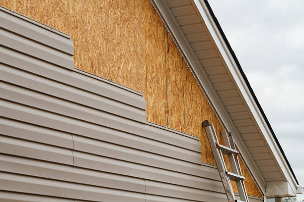 Professional Siding Inspection technician working in Golden, CO